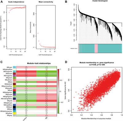 Comprehensive analysis reveals a 5-gene signature and immune cell infiltration in Alzheimer’s disease with qPCR validation